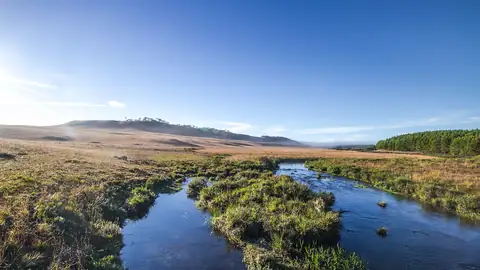 Imagem ilustrativa: Rio Grande do Sul: Rio em campo aberto, dia ensolarado