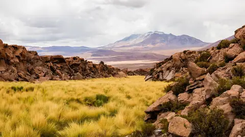 Imagem ilustrativa: Chile: Montanha e vegetação em terreno árido
