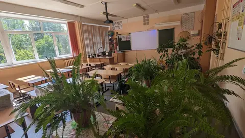 Imagem ilustrativa: Sala de aula vazia com plantas