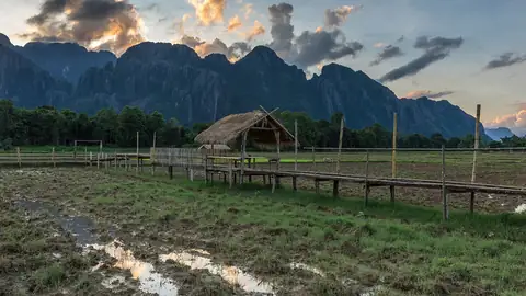 Imagem ilustrativa: Campo de arroz com casa e céu ao entardecer