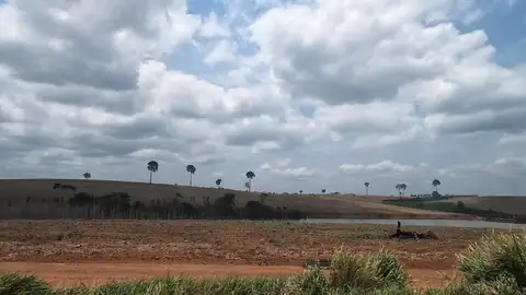 Imagem ilustrativa: Altamira: Campo com árvores e céu nublado