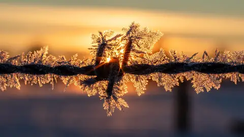 Imagem ilustrativa: Frio e sol refletido em arame.