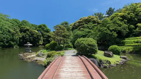 Imagem ilustrativa: Japão: Ponte de madeira em jardim japonês