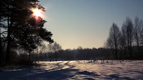 Imagem ilustrativa: Lituânia: Paisagem de inverno com árvores e neve