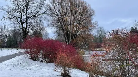 Imagem ilustrativa: Letônia: Paisagem invernal com neve e árvores