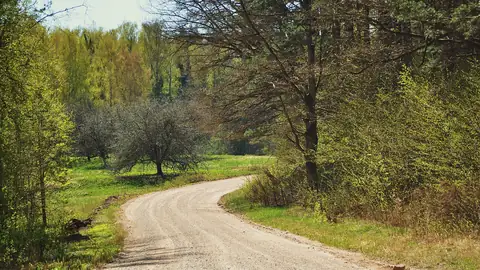Imagem ilustrativa: Letônia: Estrada sinuosa em meio à natureza
