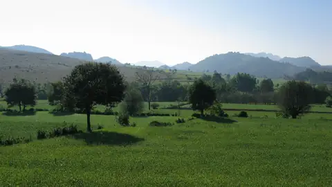 Imagem ilustrativa: Mianmar (Birmânia): Campo verde com montanhas ao longe
