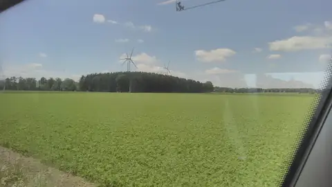 Imagem ilustrativa: Suécia: Campo verde com turbinas e céu azul