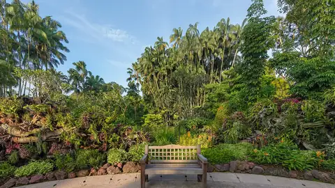 Imagem ilustrativa: Singapura: Banca de madeira em jardim exuberante