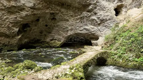 Imagem ilustrativa: Eslovênia: Ponte sobre riacho em parque natural