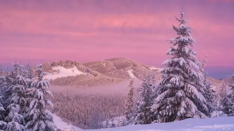 Imagem ilustrativa: Ucrânia: Cena de montanha coberta de neve ao amanhecer